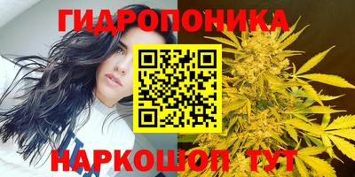 твердый Севастополь